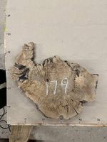 Olivenholz Baumscheibe für Tisch (179)