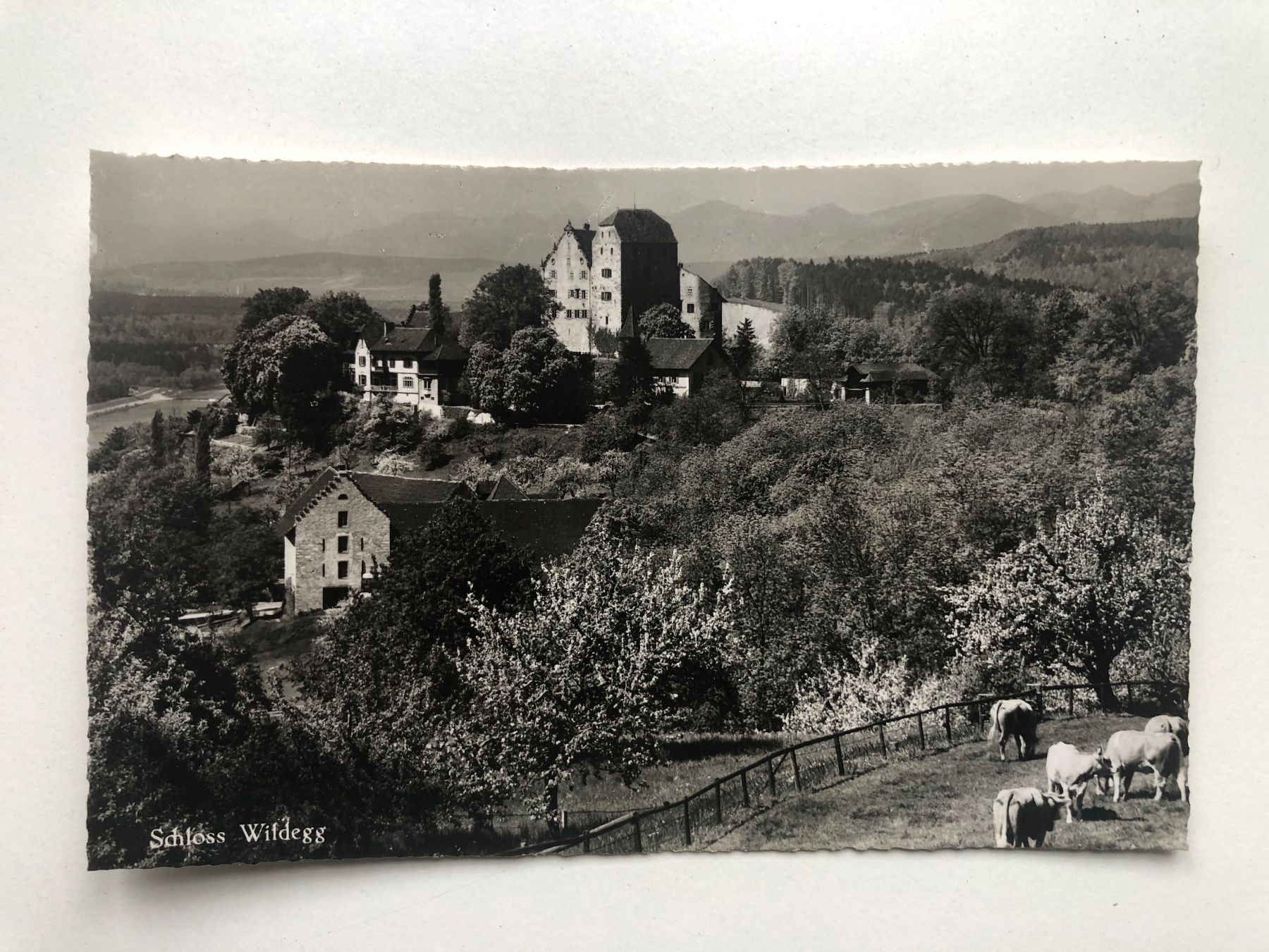 Cartoline postali: Schloss Wildegg – Usato da Neuchâtel venduto da Atahuallpa