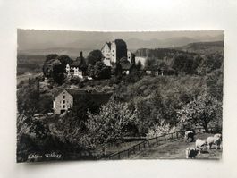 Schloss Wildegg