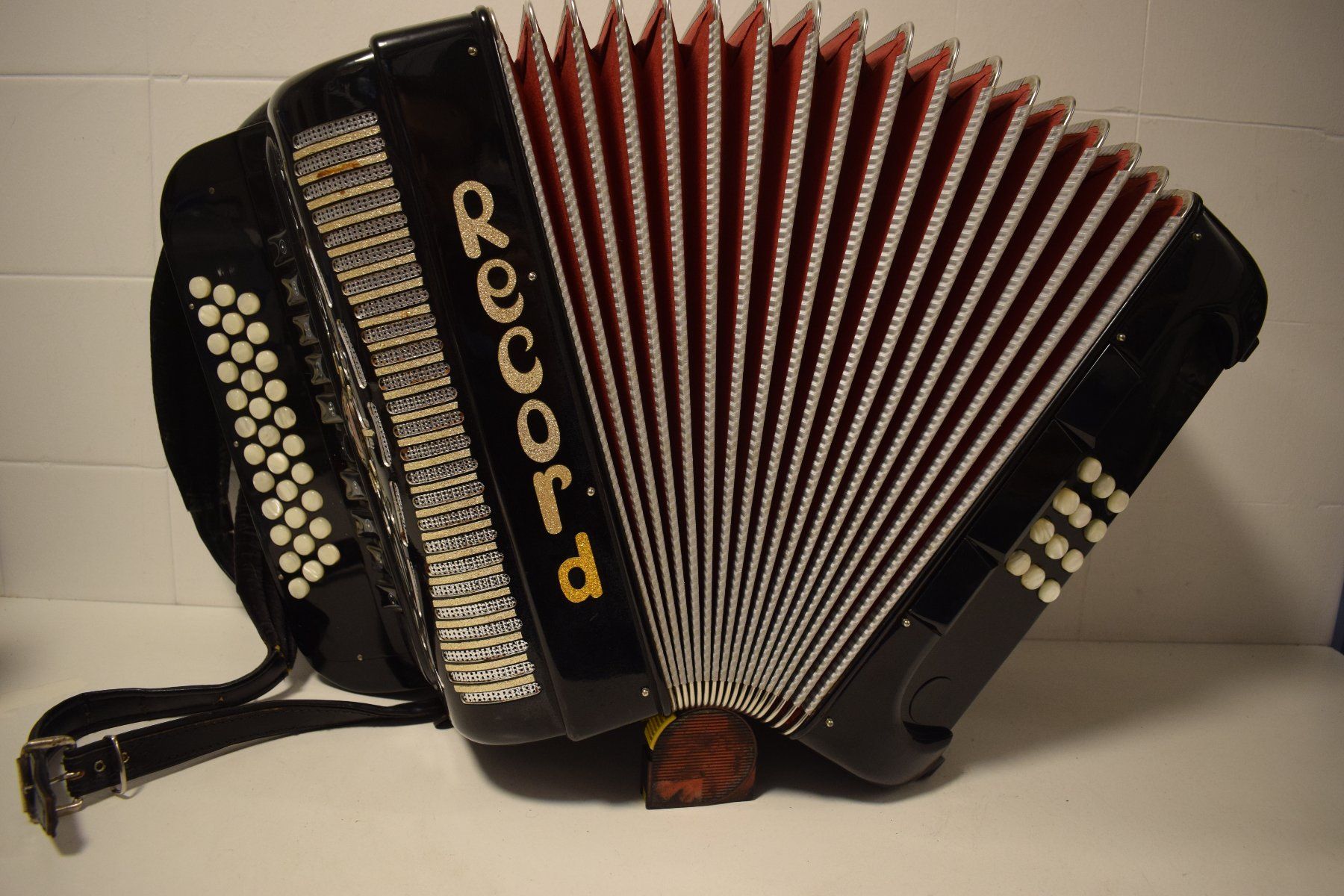 Record Strumenti musicali: Akkordeon diatonisch Record – Usato da Zürich venduto da baumusik 5