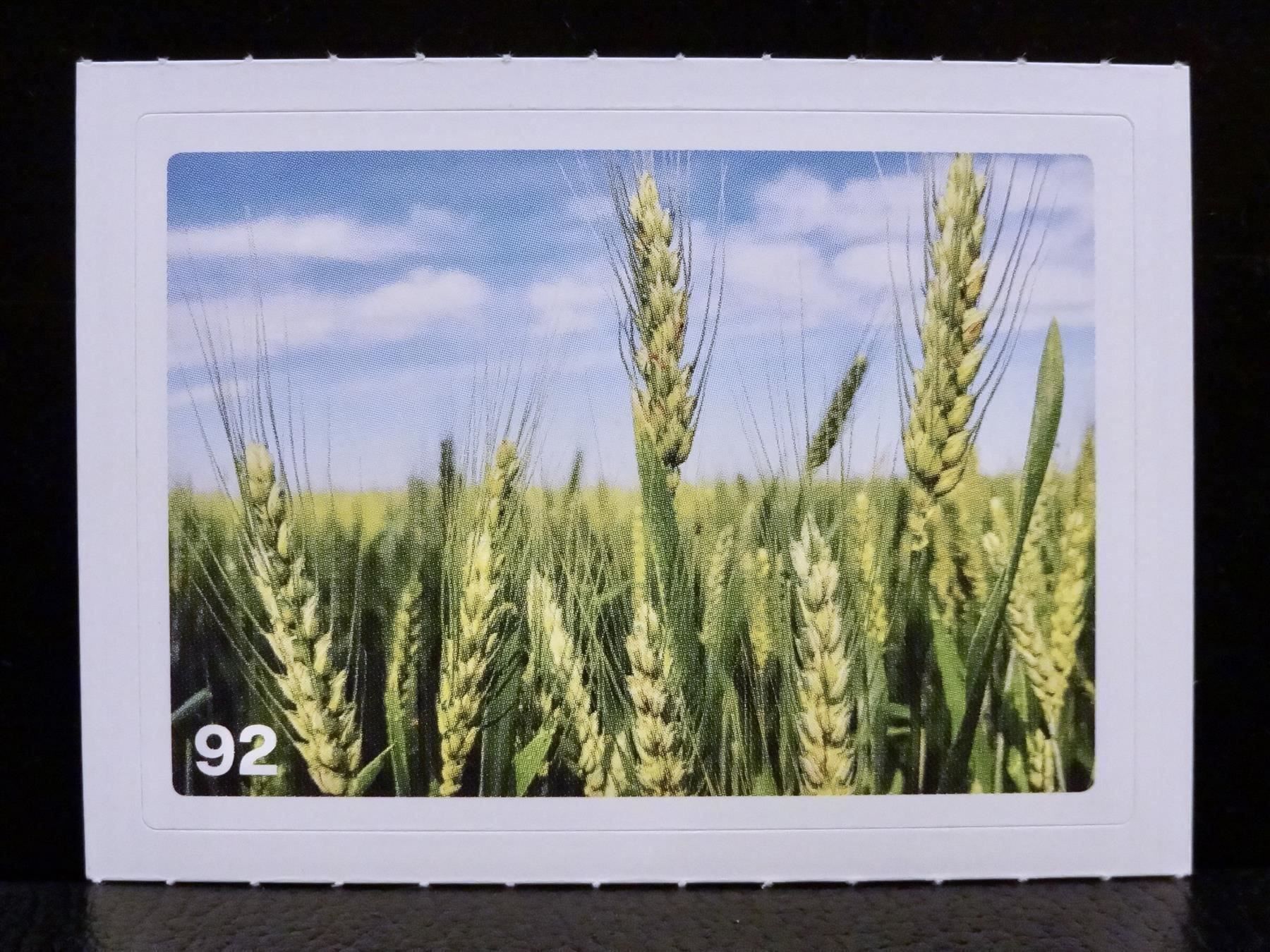 Migros Carte collezionabili: MIGROS MANIA Nature Detectives Nr. 92 – Usato da Kerzers venduto da zimmergruen