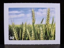 MIGROS MANIA Nature Detectives Nr. 92