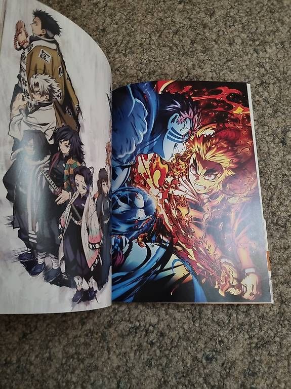 BD: Demon Slayer Artbook – D'occasion à Bassersdorf par sar_bkj7 2