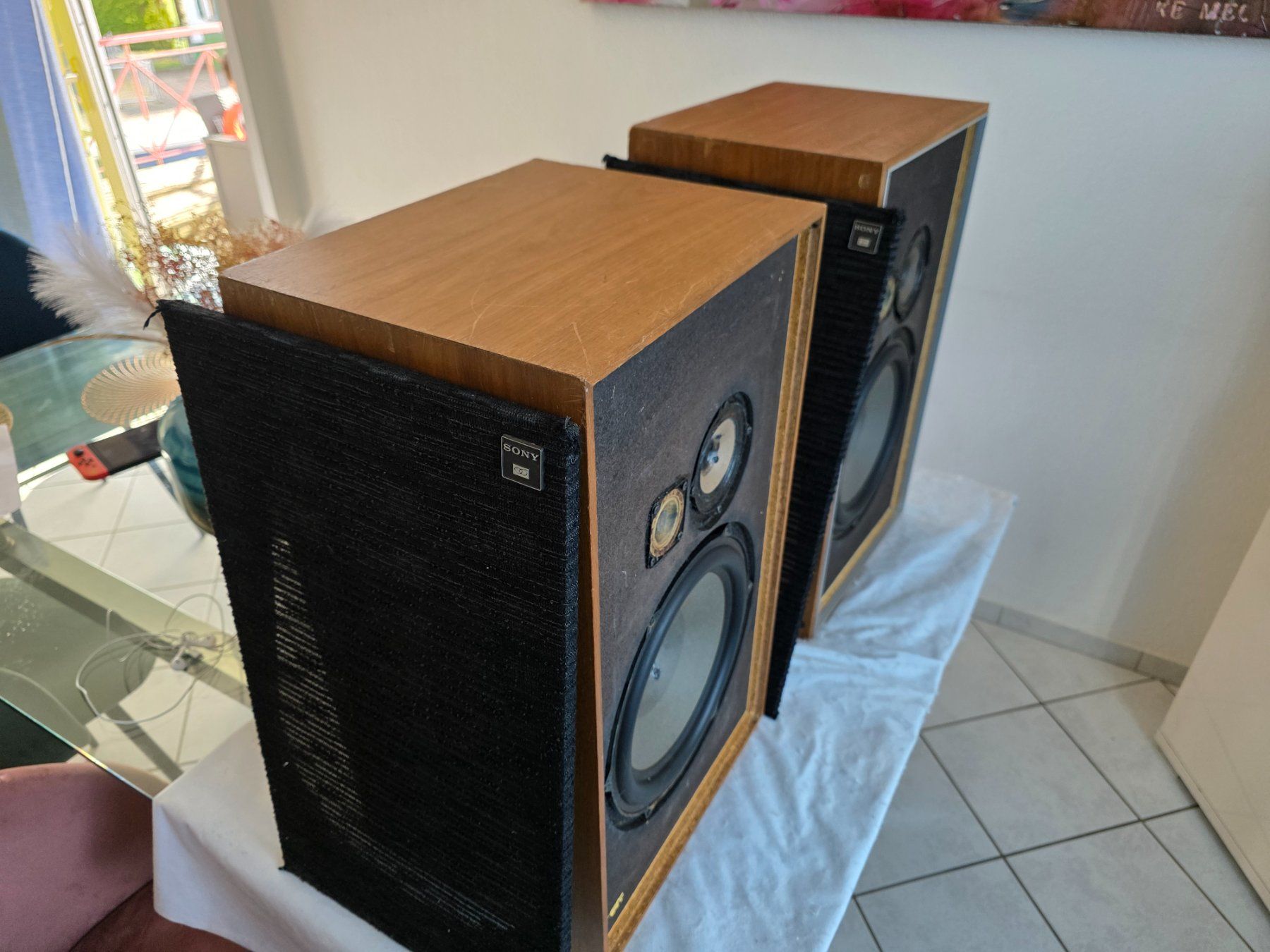 Sony Casse acustiche: Sony SS 2900 – Usato da Pfyn venduto da alex75 3
