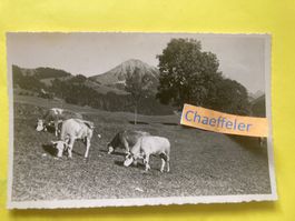 1955 LEYSIN, Un paysage avec Le Mont d‘Or