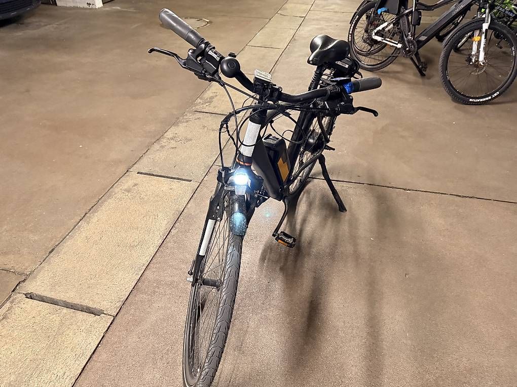 Biciclette: Elektro Velo – Usato da Dietikon venduto da sin_2lzn 2