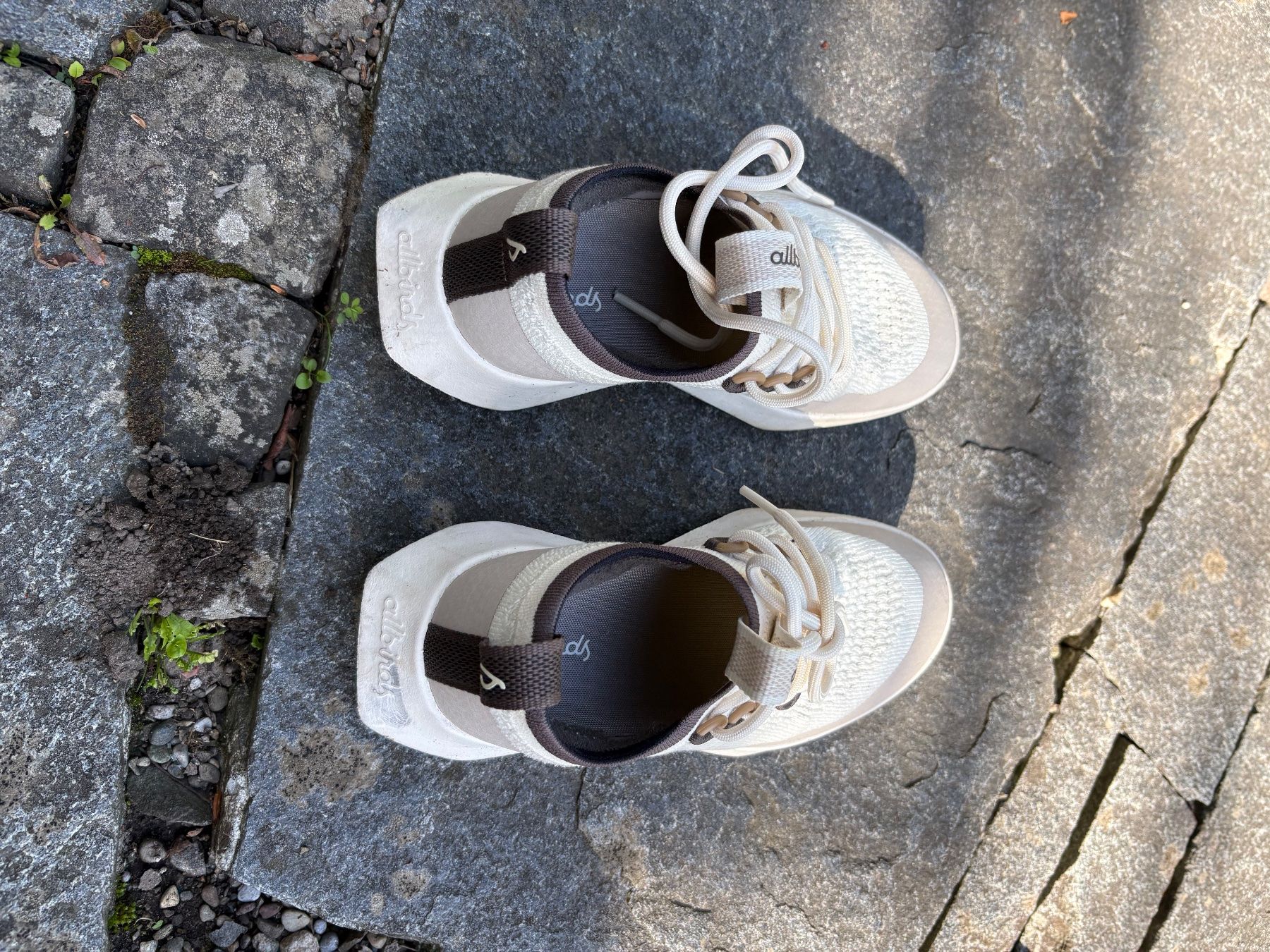 Damenschuhe: allbirds Sneaker - Tree Dasher 2 – Gebraucht aus Zürich von que_kf7d 3