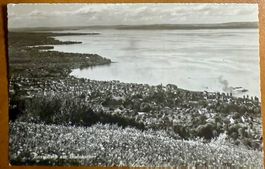 Rorschach am Bodensee - Dampfschiff 1955