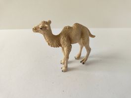 Schleich Trampeltier Fohlen Kamel Wild Life Zoo