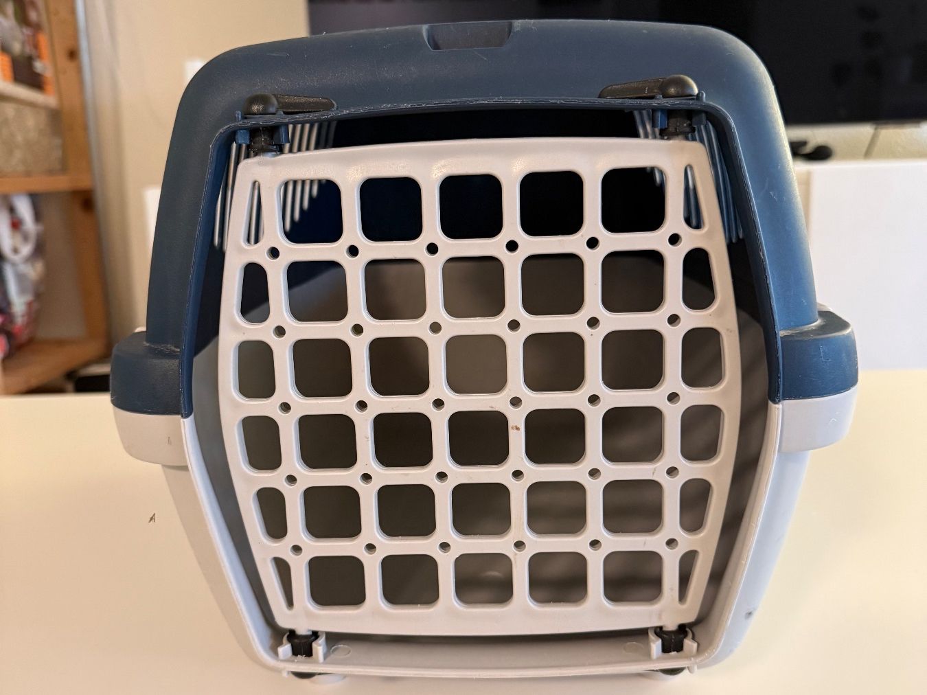Gabbie, trasporto & Sicurezza: Transportbox – Usato da Olten venduto da jsc_trq6