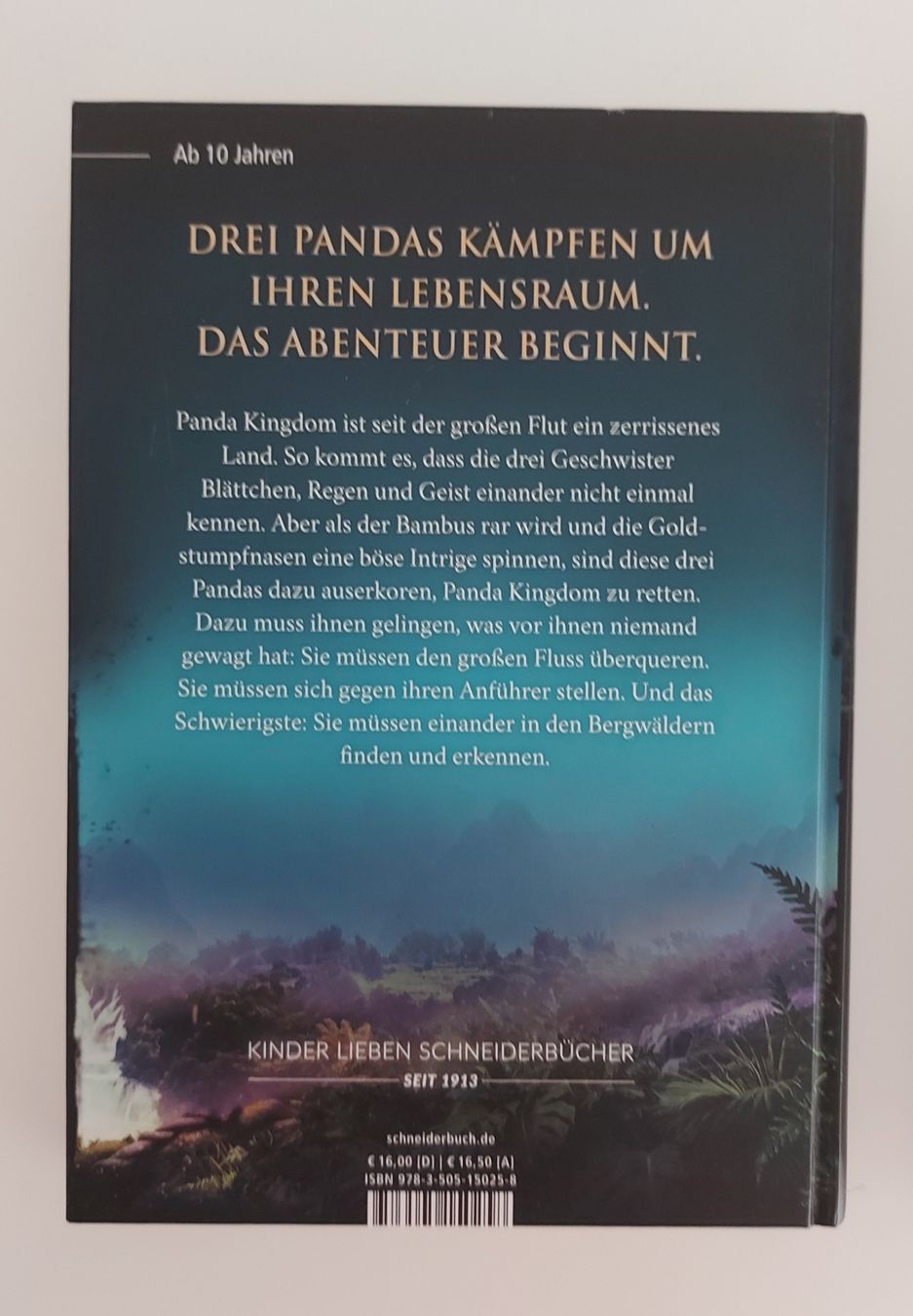Libri: Kinderbücher "Panda Kingdom", Band 1-2 – Nuovo e nell'imballaggio originale da Wabern venduto da Irakene 5