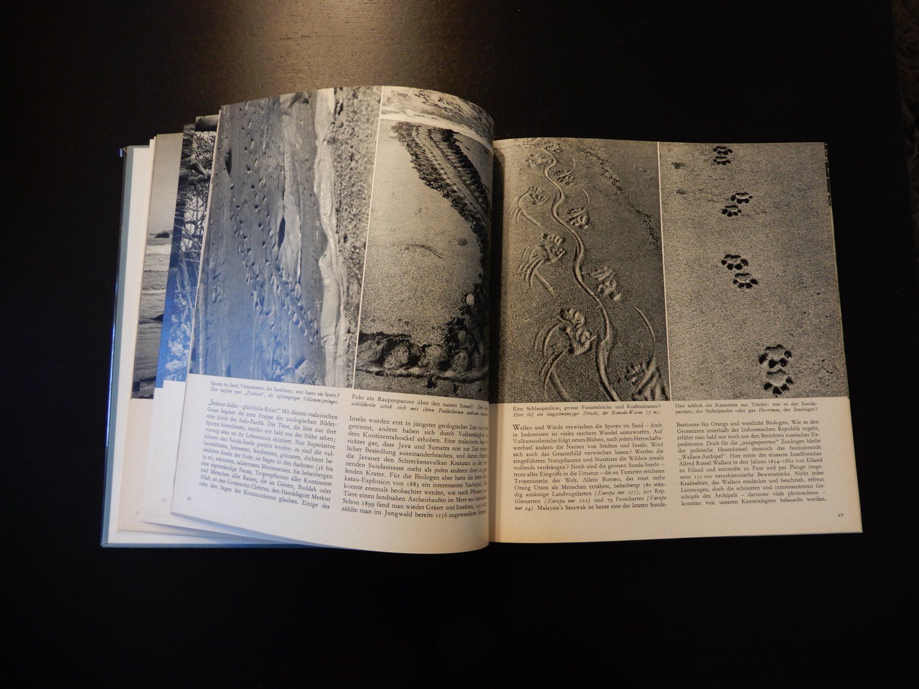 Libri: Fauna ferner Inseln - neuwertig 1965 – Usato da Erstfeld venduto da Mario_boe0 3