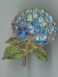 Placchette & Badge: Hortensie, Pin – Usato da Zürich venduto da t24_de