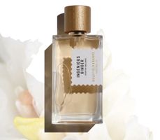 NICHE — EdP Ingenious Ginger — Goldfield & Banks Australia