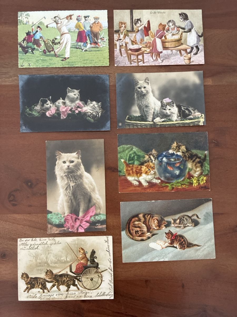 Cartoline postali: 16 Ansichtskarten Schweiz diverse mit Katzen Motiven – Usato da Oftringen venduto da Cla.vD.74 2