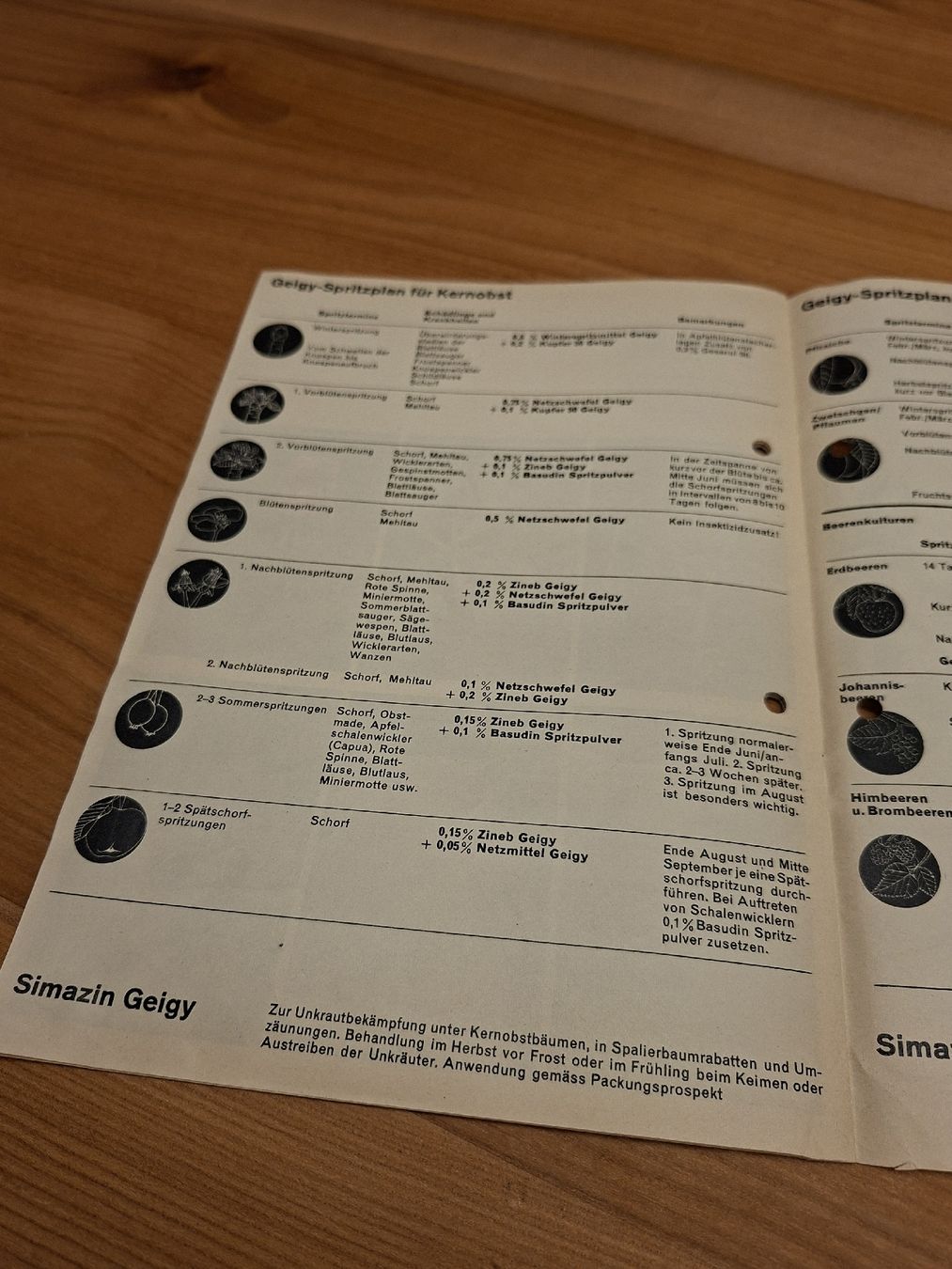 Documenti: Geigy AG Basel Prospekt 1960 – Usato da Ganterschwil venduto da HeidiuPeter 5