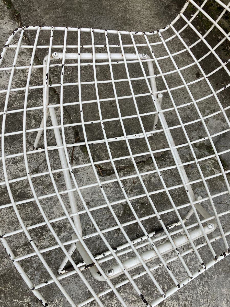 Sedie: Harry Bertoia Vintage Stuhl – Usato da fribourg venduto da Retroverso 4