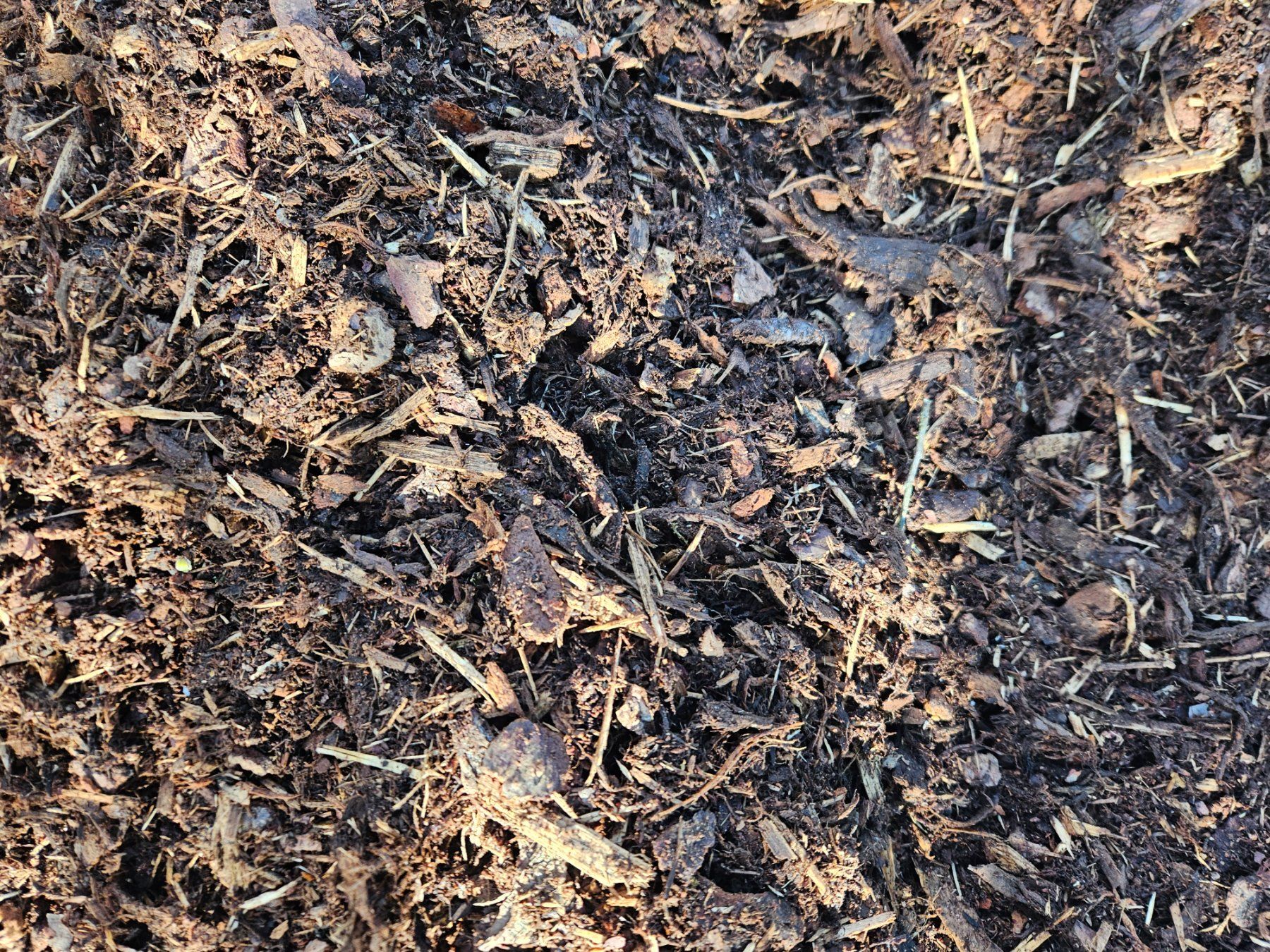 Gravures sur bois: (KOPIE) Rindenmulch – D'occasion à Morgarten par ktmracer49 2