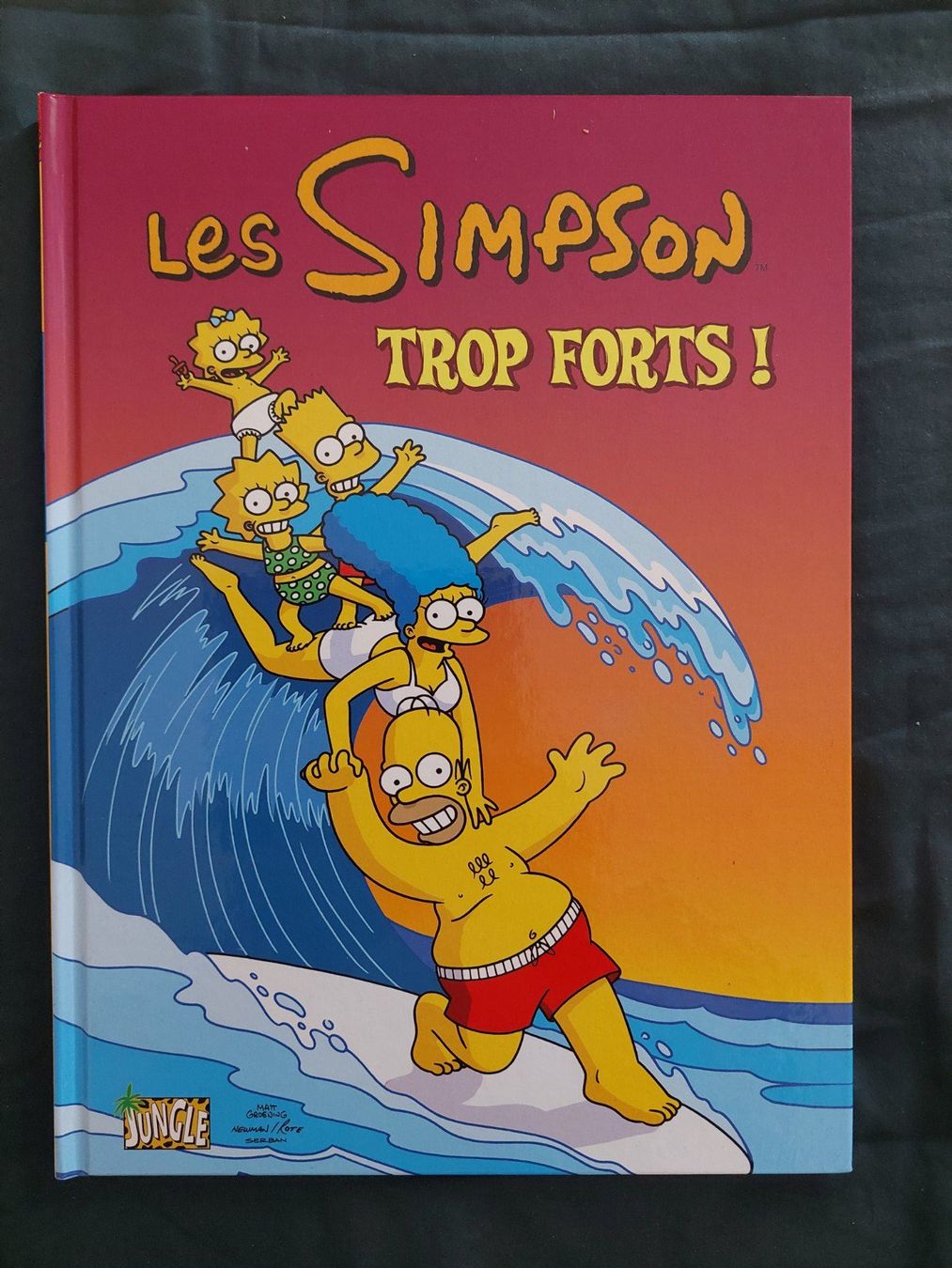 Comics: Les Simpson T.6 Trop Forts! EO 2009 Comme Neuf – Gebraucht aus Genève von Blu_BD