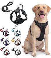 NEU! Geschirr + Leine SET / Hund G. L (1/2) Labrador