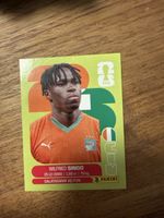 Panini Fifa CIV 4
