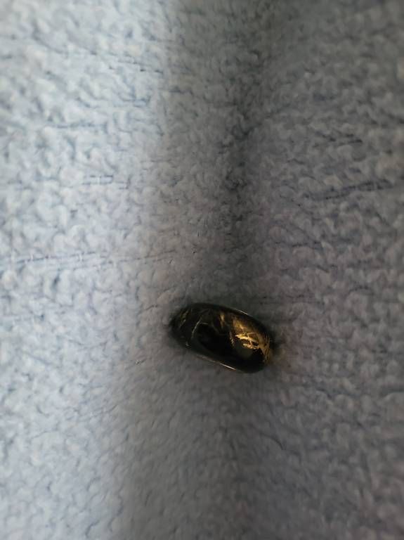 Ciondoli: Bead schwarz/gold – Usato da Effretikon venduto da Zebra37 1