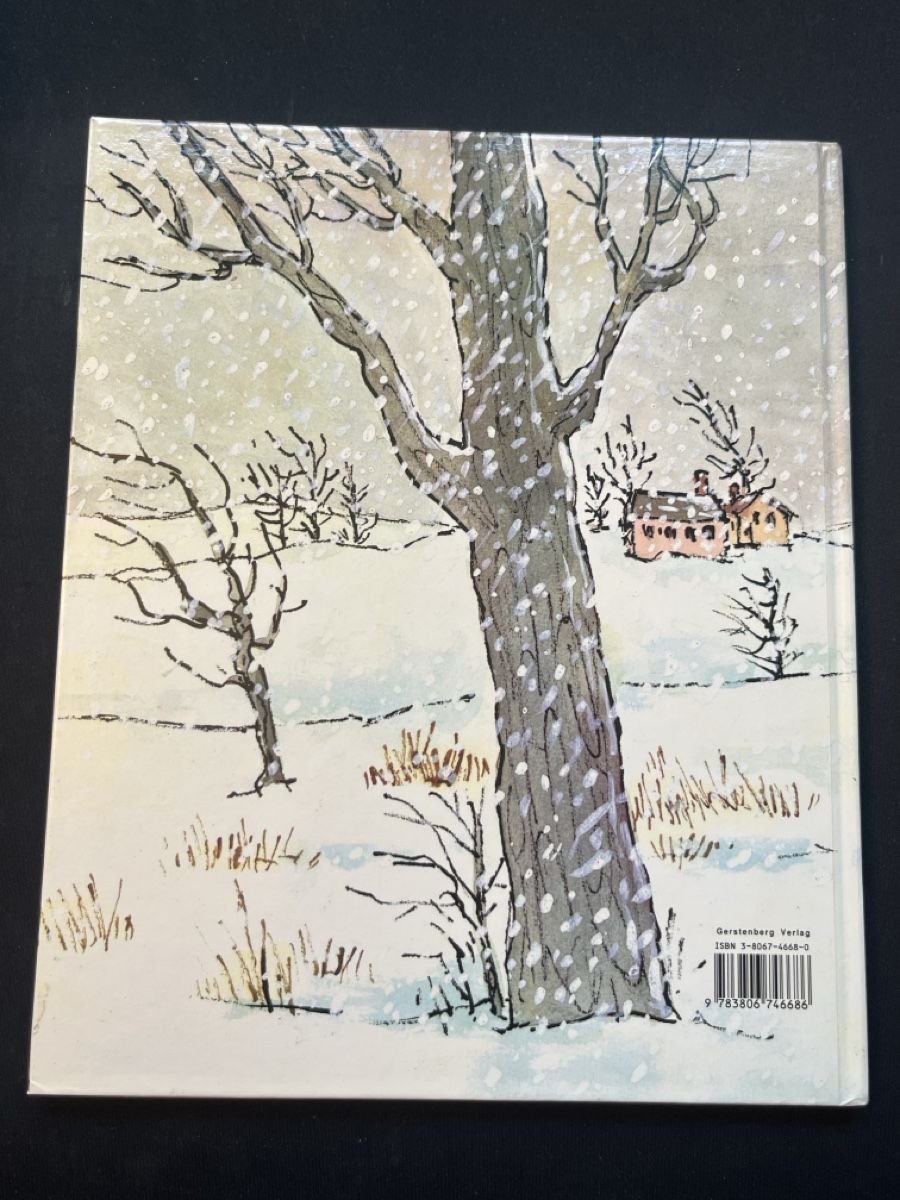 Libri: Winterliches Kinderbuch "Irene schafft's" von William Steig – Usato da Forch venduto da tieckr 1