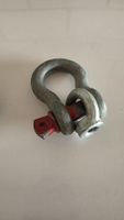 Schäkel mit Bolzen und Ringschraube gebraucht
