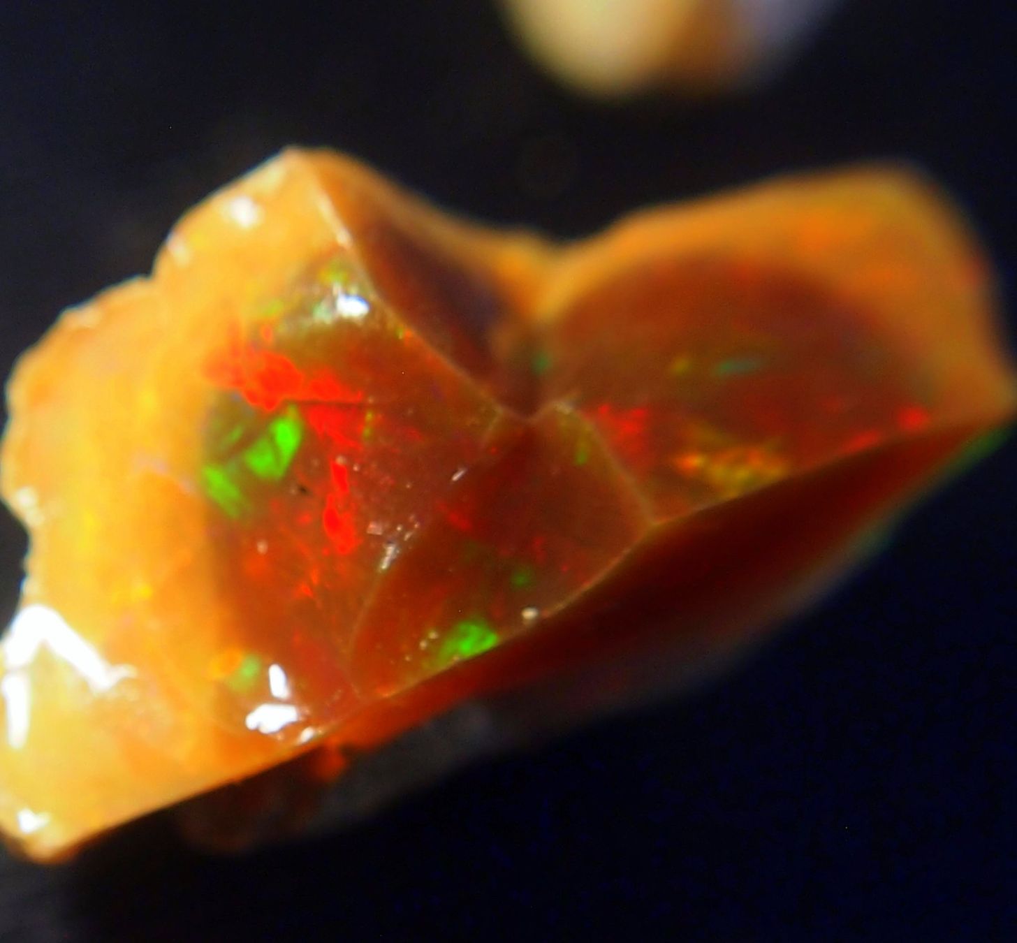 Pietre preziose: 39 ct. Top-funkelnder WELO-Feueropal roh – Nuovo e nell'imballaggio originale da Reinach BL venduto da Marblue 5