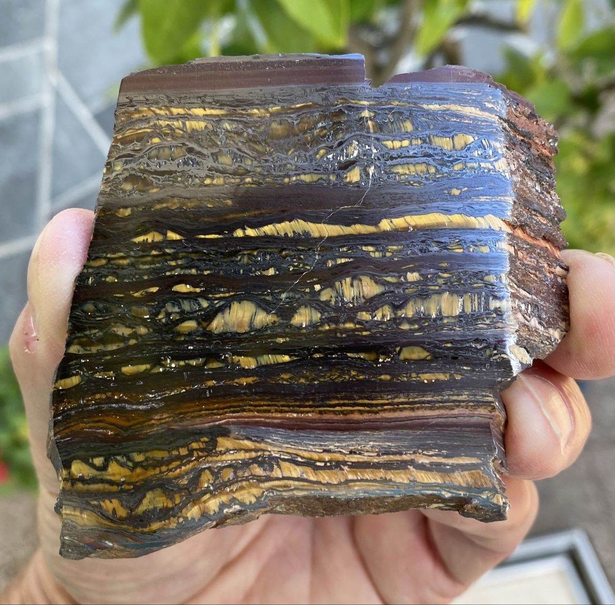 Mineralien & Heilsteine: Schöne Tiegereisen Platte  – Gebraucht aus Selzach von 321compac 1