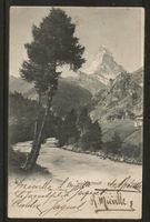 Carte P DE 1906 ( Zermatt )