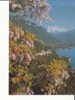 Chillon 1984