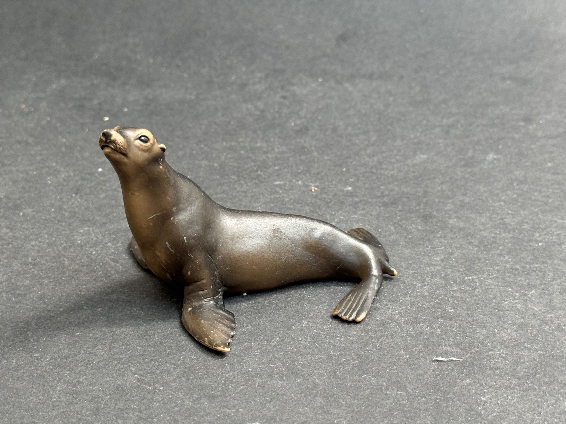 Schleich Figuren: Schleich Seelöwe Wasser – Gebraucht aus Ennetbaden von mapa05
