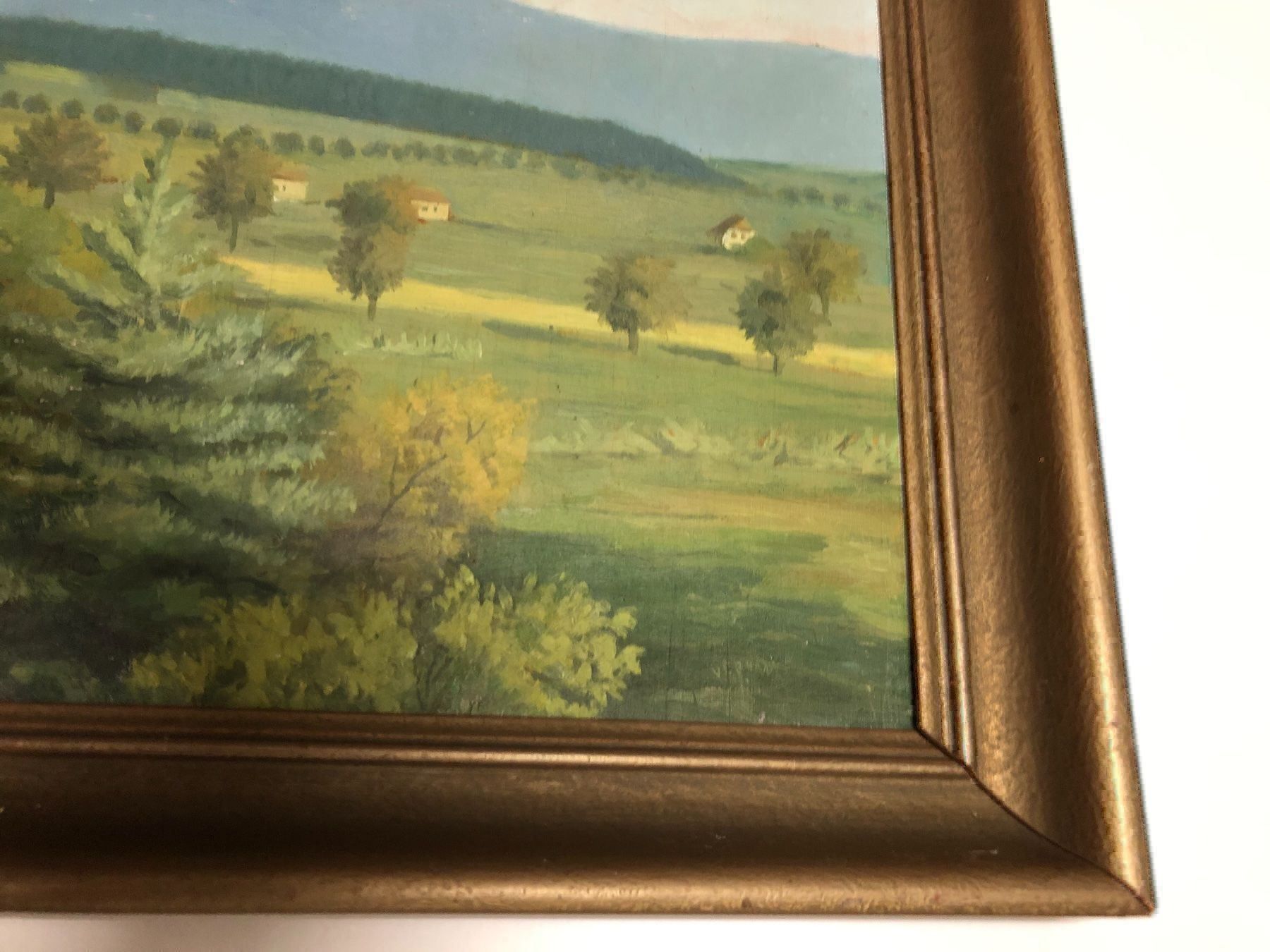 Dipinti: Landschaftsgemälde Signiert Datiert – Usato da Hirzel venduto da pjn_d7xp 1