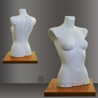 LUCCESI Schaufensterpuppe Torso (♀ female) Size 34-36  #247