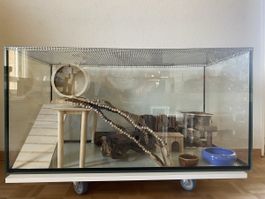 Grosses Hamstergehege mit viel Zubehoer, 100x50x52cm