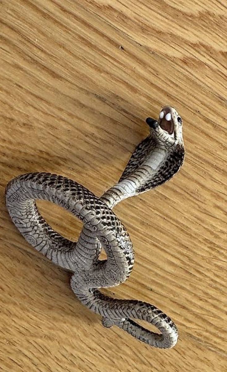 Schleich Giocattoli: Schleich Wild Life Cobra – Usato da Zürich venduto da wtpooh 2