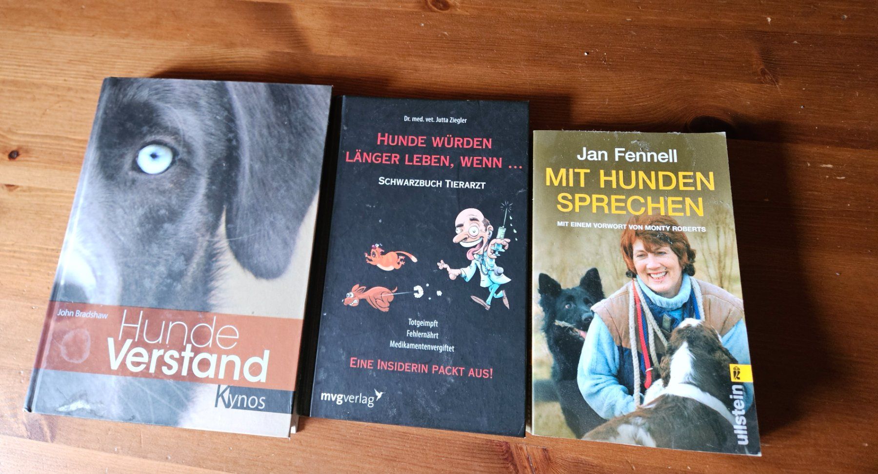 Libri: Hunde Bücher – Usato da Dallenwil venduto da energy2127