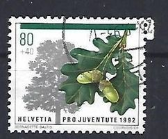 1992 - PJ - Waldbäume - Stieleiche