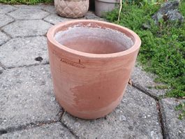 Kleiner Blumentopf