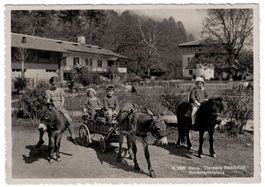 Bern, Tierpark Dählhölzli, Fotokarte, gelaufen 1946