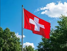 Schweizer Flagge NEU