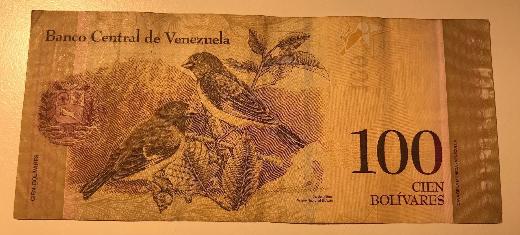 Banknoten: Venezuela 100 Bolivares 2009 – Gebraucht aus Algetshausen von Carrhard 1