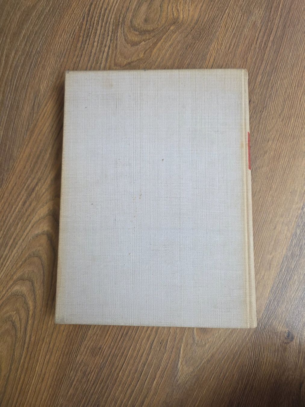 Libri: Buch "Honoré Daumier" von Robert Lejeune – Usato da Nebikon venduto da Japostyle 6