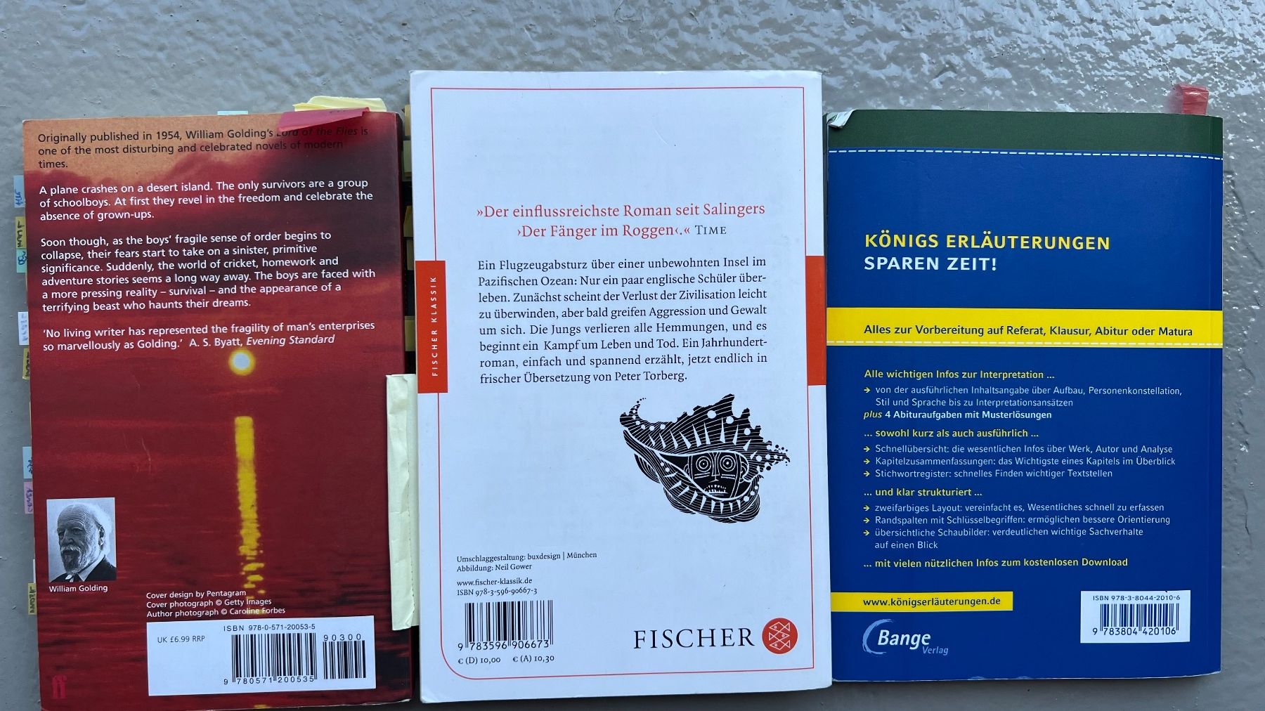 Libri: lord of the flies – Usato da Ebmatingen venduto da lwe_x6h5 1