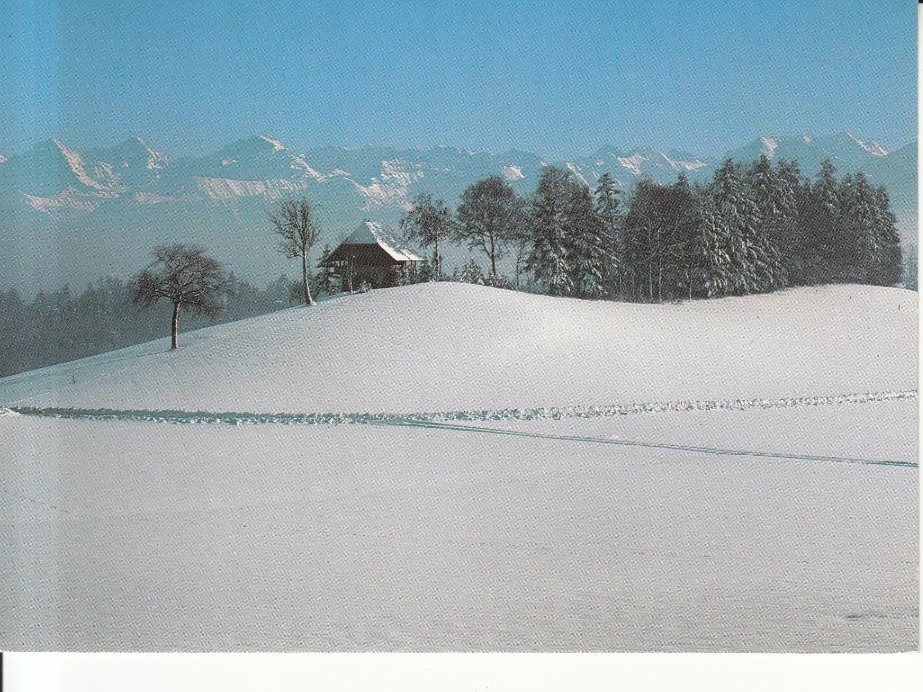 Ansichtskarten: Eiger Mönch Jungfrau 1989 – Gebraucht aus Bürglen TG von StampGraf