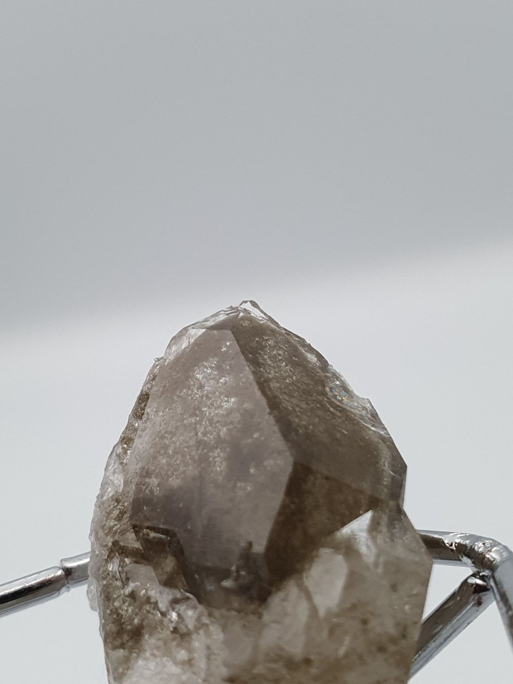Minerali & Pietre curative: Phantomquarz mit Titanit – Nuovo (secondo la descrizione) da Holderbank SO venduto da swiss-minerals 4
