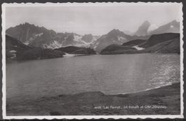 LAC FERRET - Grand Goliath