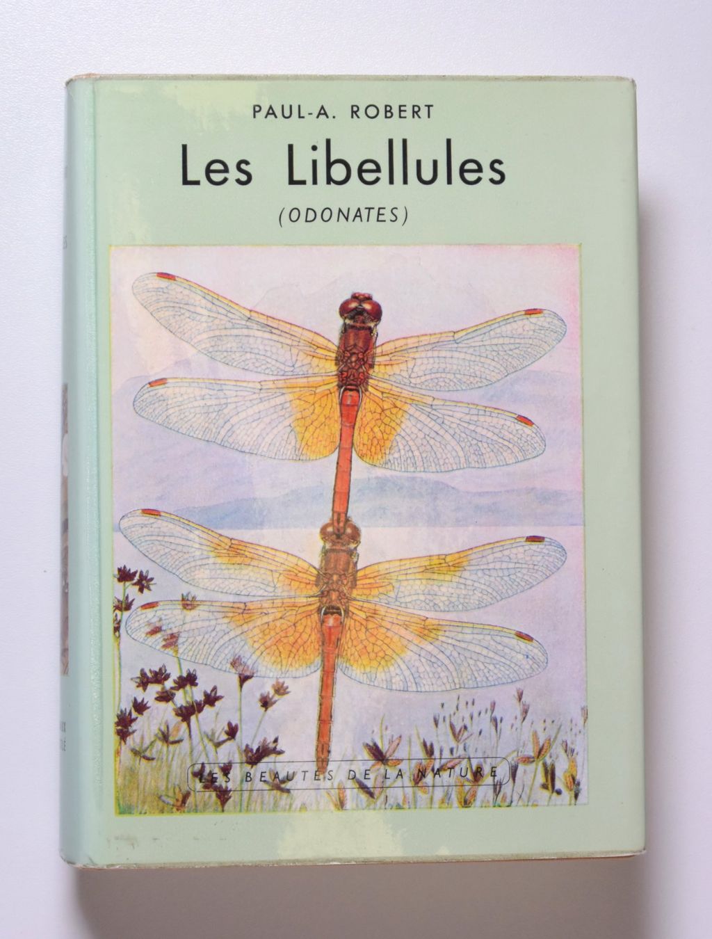 Libri: Paul-A. Robert: Les Libellules (Odonates) – Usato da Erschwil venduto da taglang