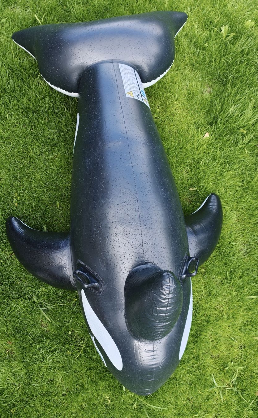 Salvagente: Orca, aufblasbares Schwimmtier, Intex – Usato da Wil SG venduto da cro_27r5 6